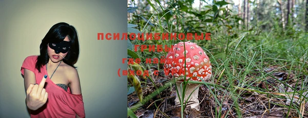 ПСИЛОЦИБИНОВЫЕ ГРИБЫ Аркадак
