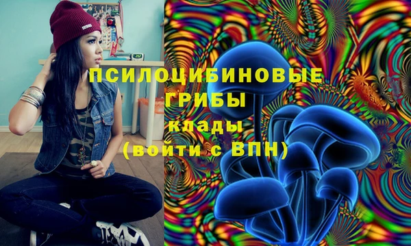 кокс Алексин
