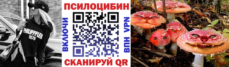 Галлюциногенные грибы MAGIC MUSHROOMS  Тайшет 